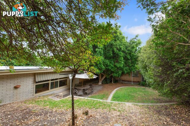 24 Elese Avenue CAMPBELLTOWN SA 5074