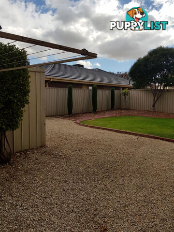 3 Westbury Court OAKDEN SA 5086