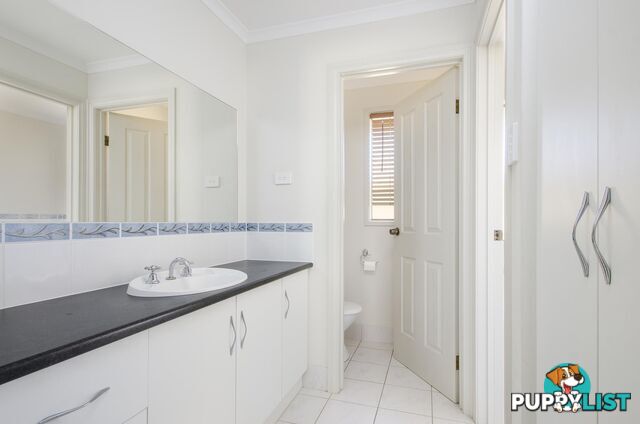 28 Sixth Avenue ASCOT PARK SA 5043