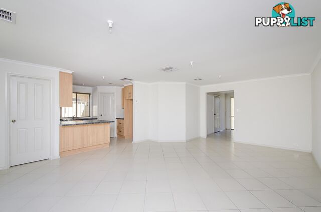 28 Sixth Avenue ASCOT PARK SA 5043