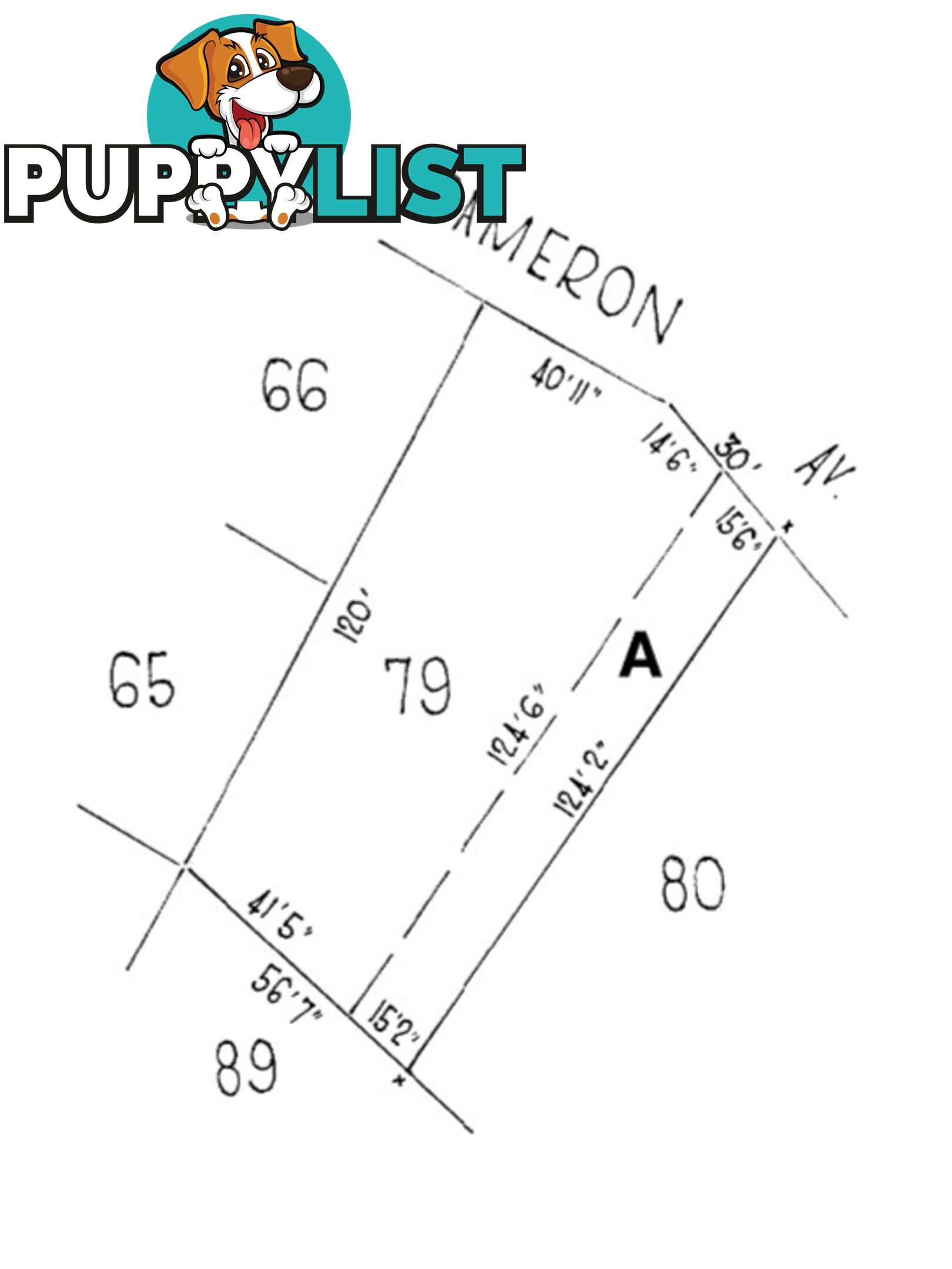 2 Cameron Avenue DARLINGTON SA 5047