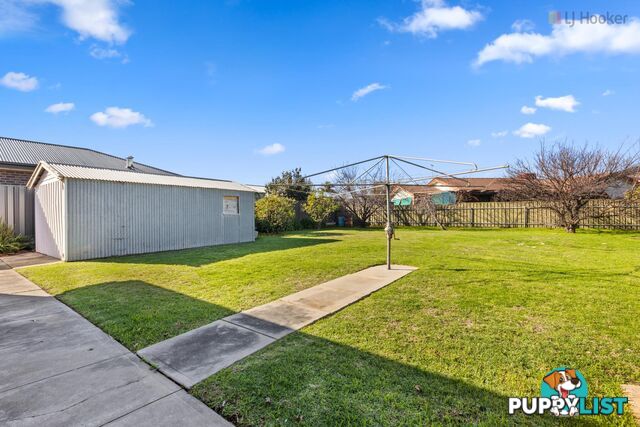 3 Moselle Avenue GLENGOWRIE SA 5044