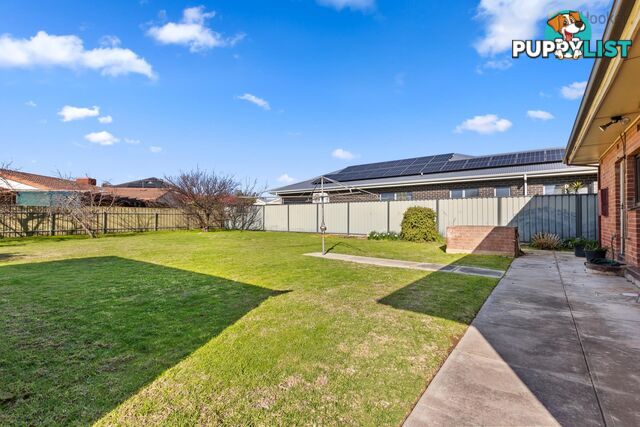 3 Moselle Avenue GLENGOWRIE SA 5044