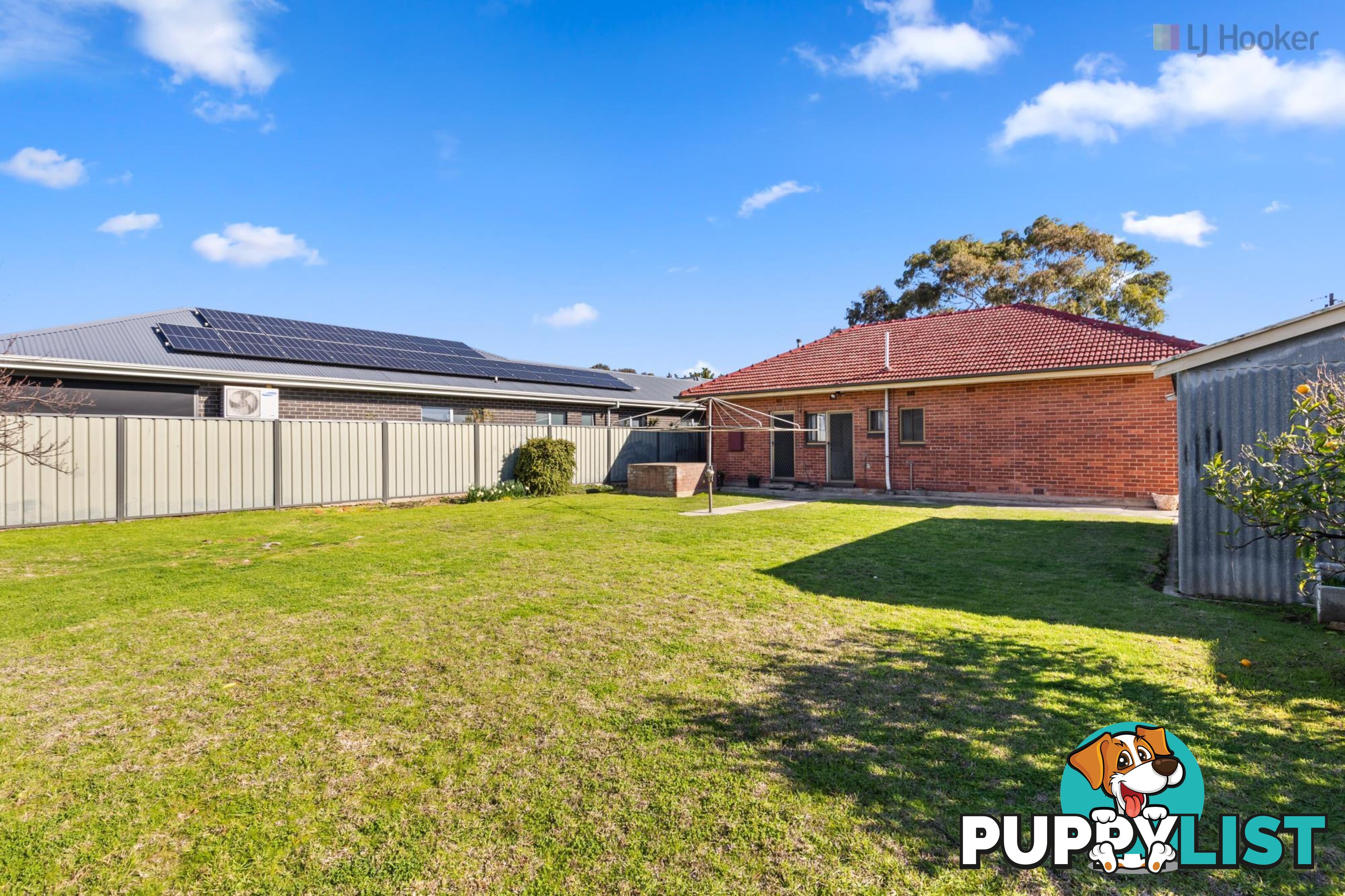 3 Moselle Avenue GLENGOWRIE SA 5044