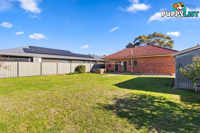 3 Moselle Avenue GLENGOWRIE SA 5044