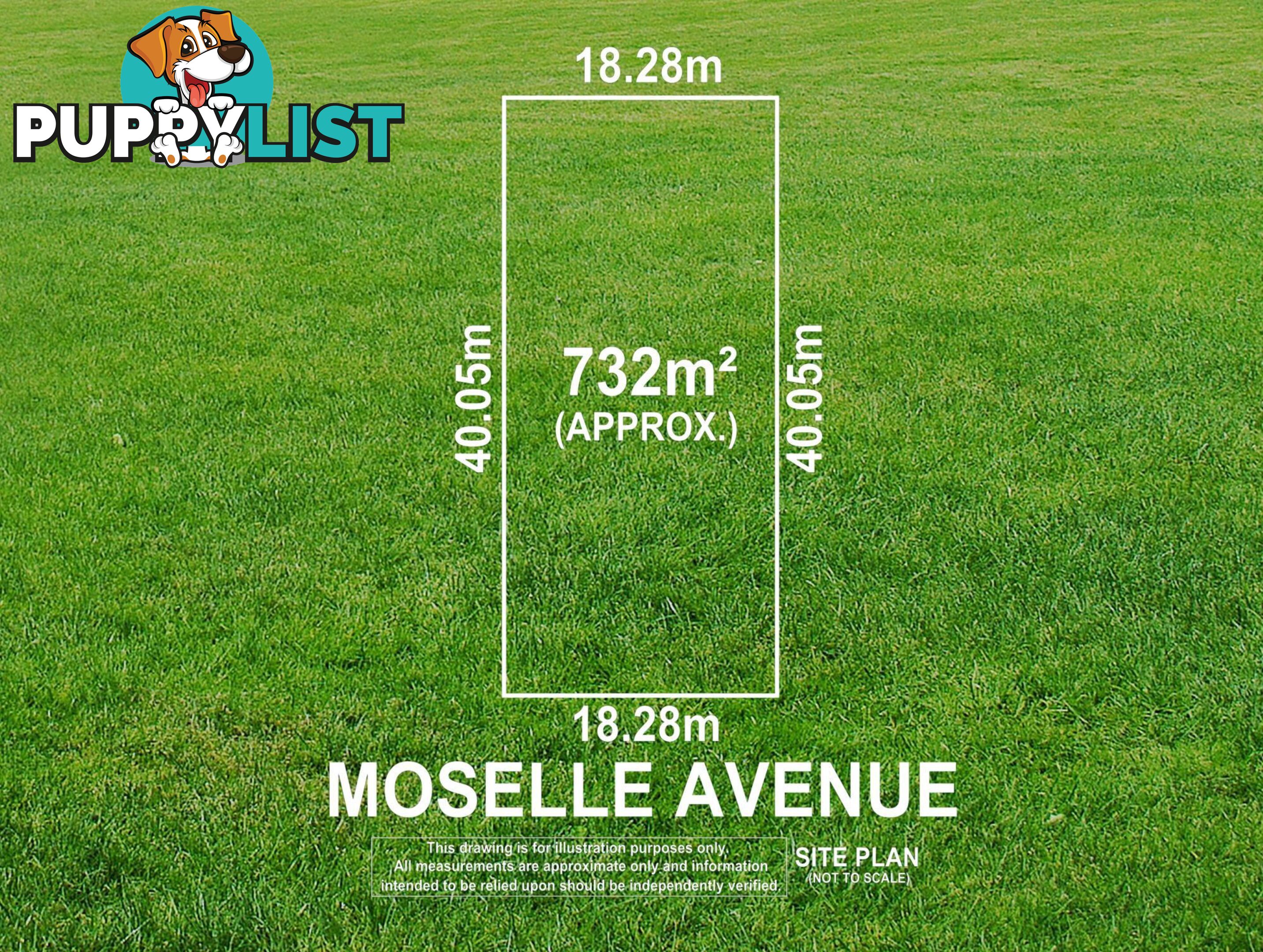 3 Moselle Avenue GLENGOWRIE SA 5044