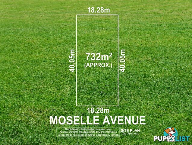 3 Moselle Avenue GLENGOWRIE SA 5044