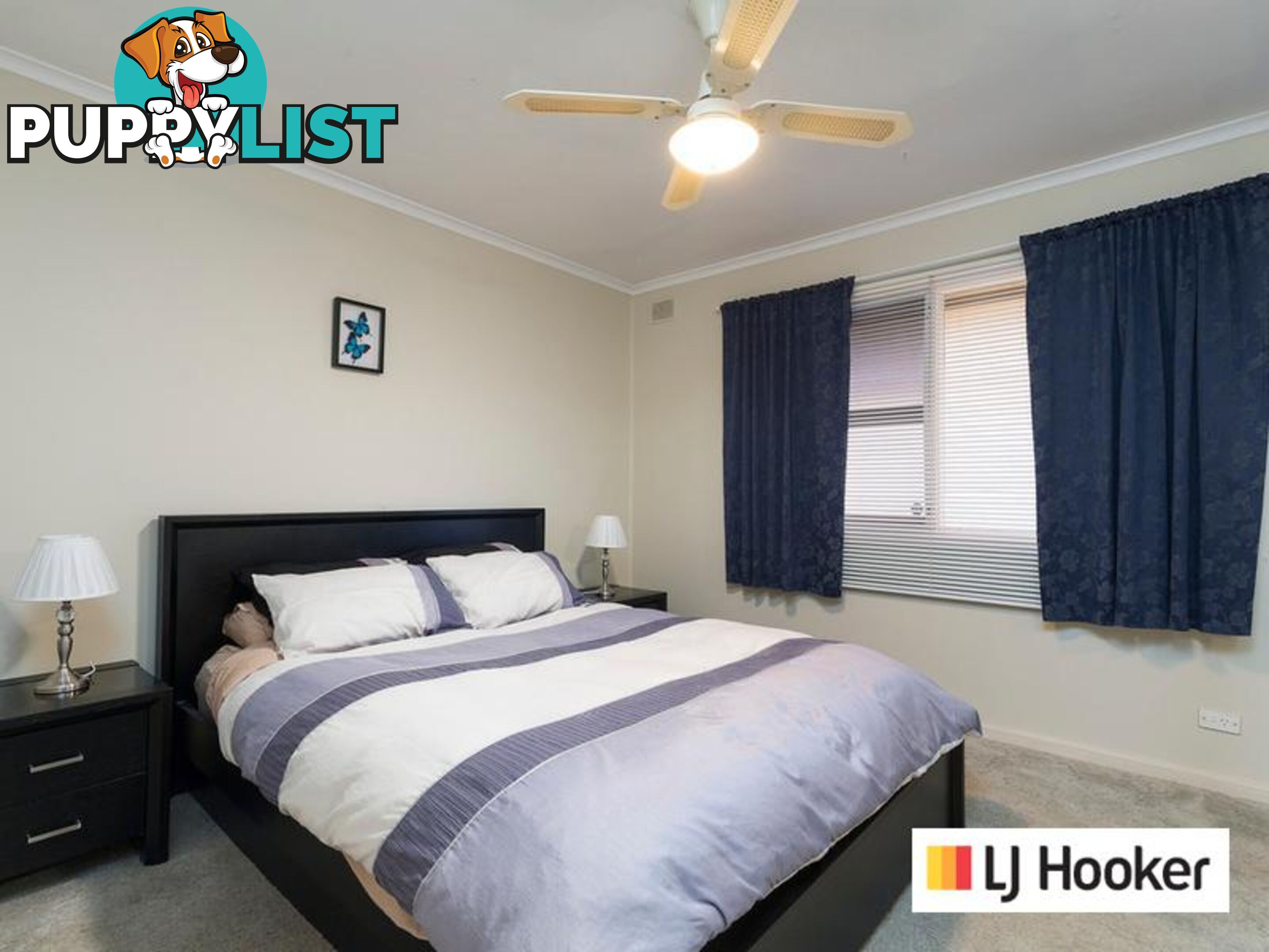 19 Kevin Street CHRISTIE DOWNS SA 5164