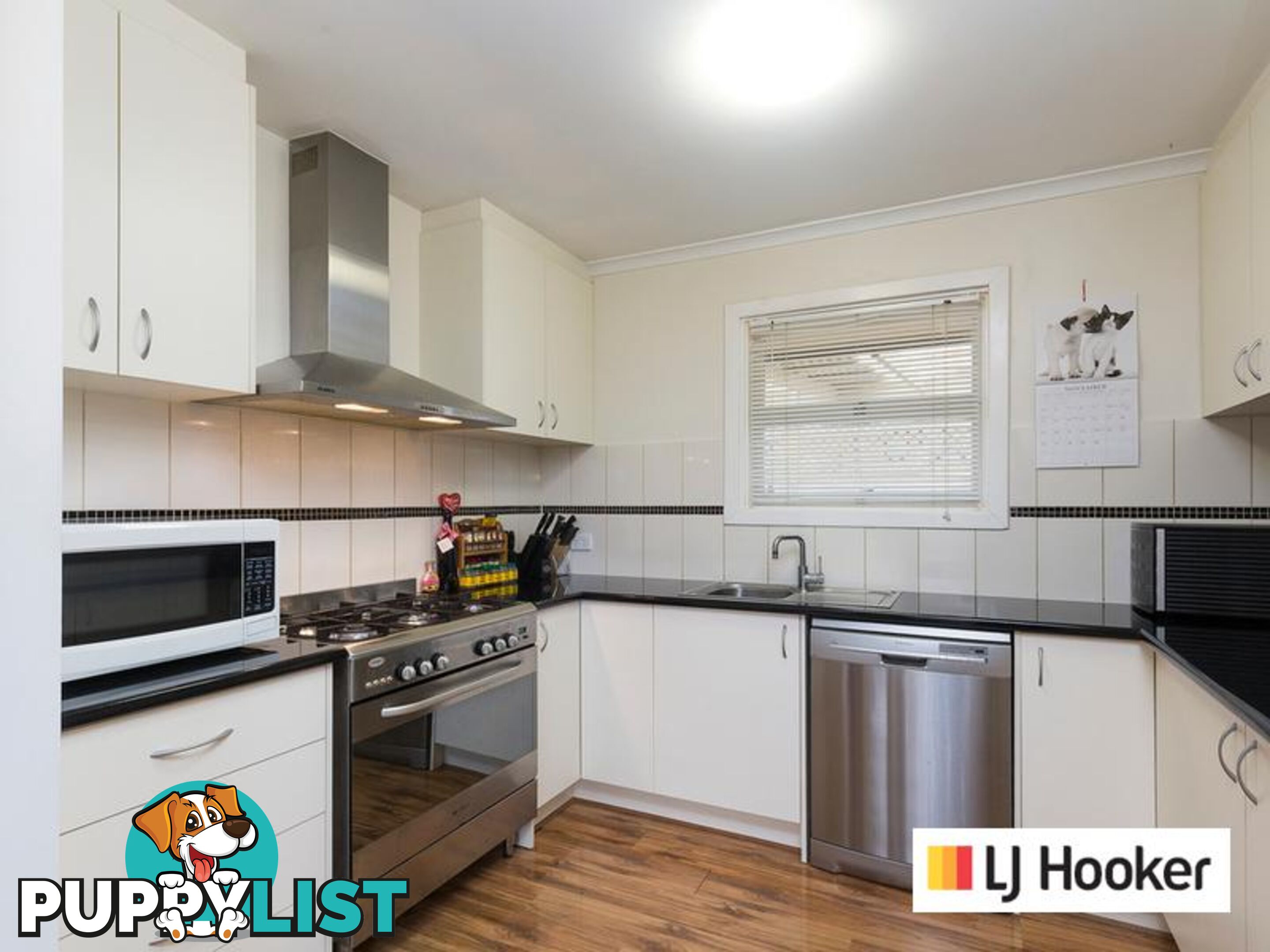 19 Kevin Street CHRISTIE DOWNS SA 5164