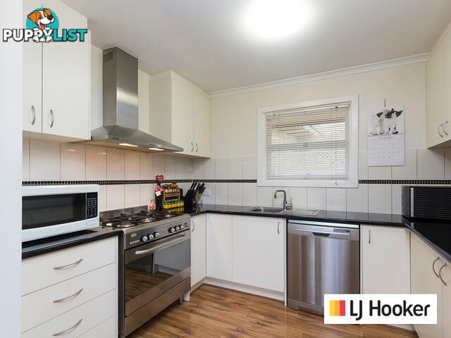 19 Kevin Street CHRISTIE DOWNS SA 5164