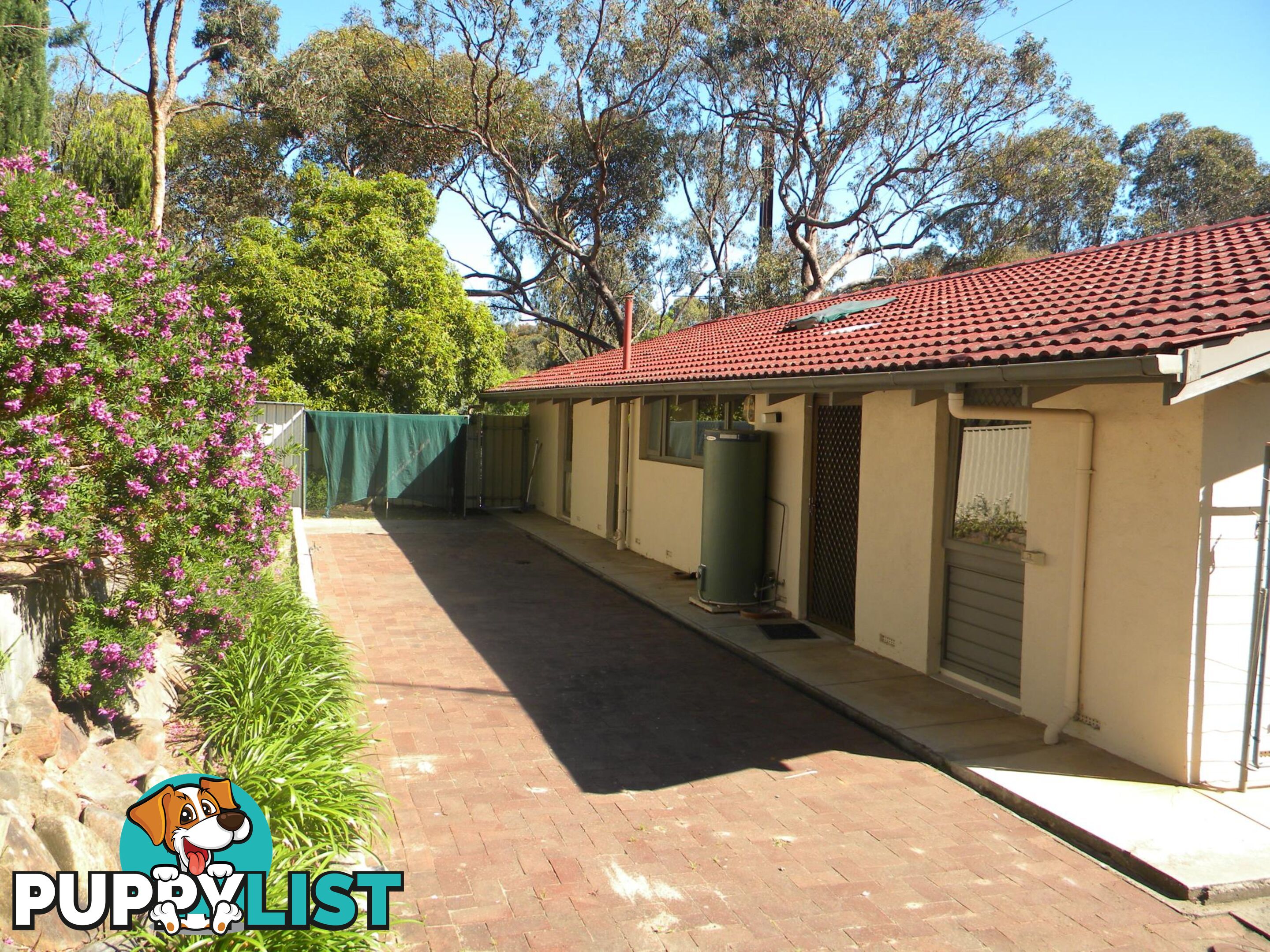 36 Melton Street BLACKWOOD SA 5051