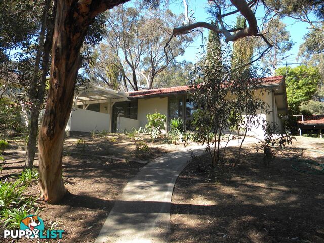 36 Melton Street BLACKWOOD SA 5051