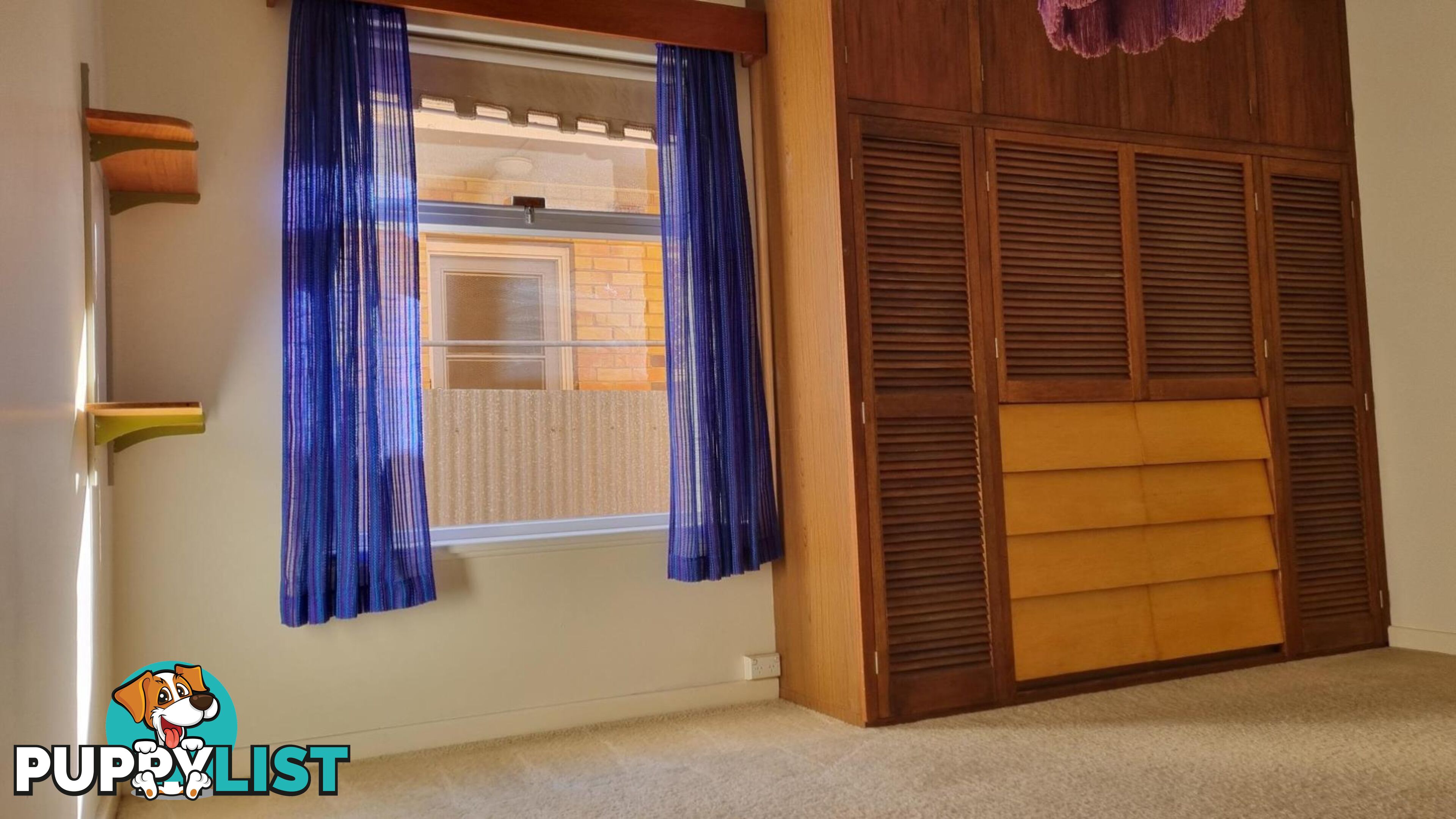 11 Pine Ave WARRADALE SA 5046