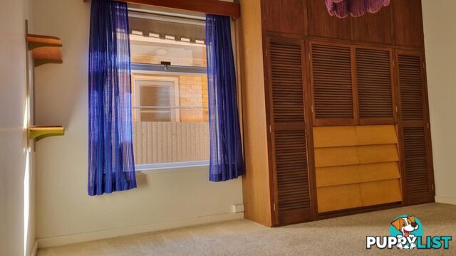 11 Pine Ave WARRADALE SA 5046
