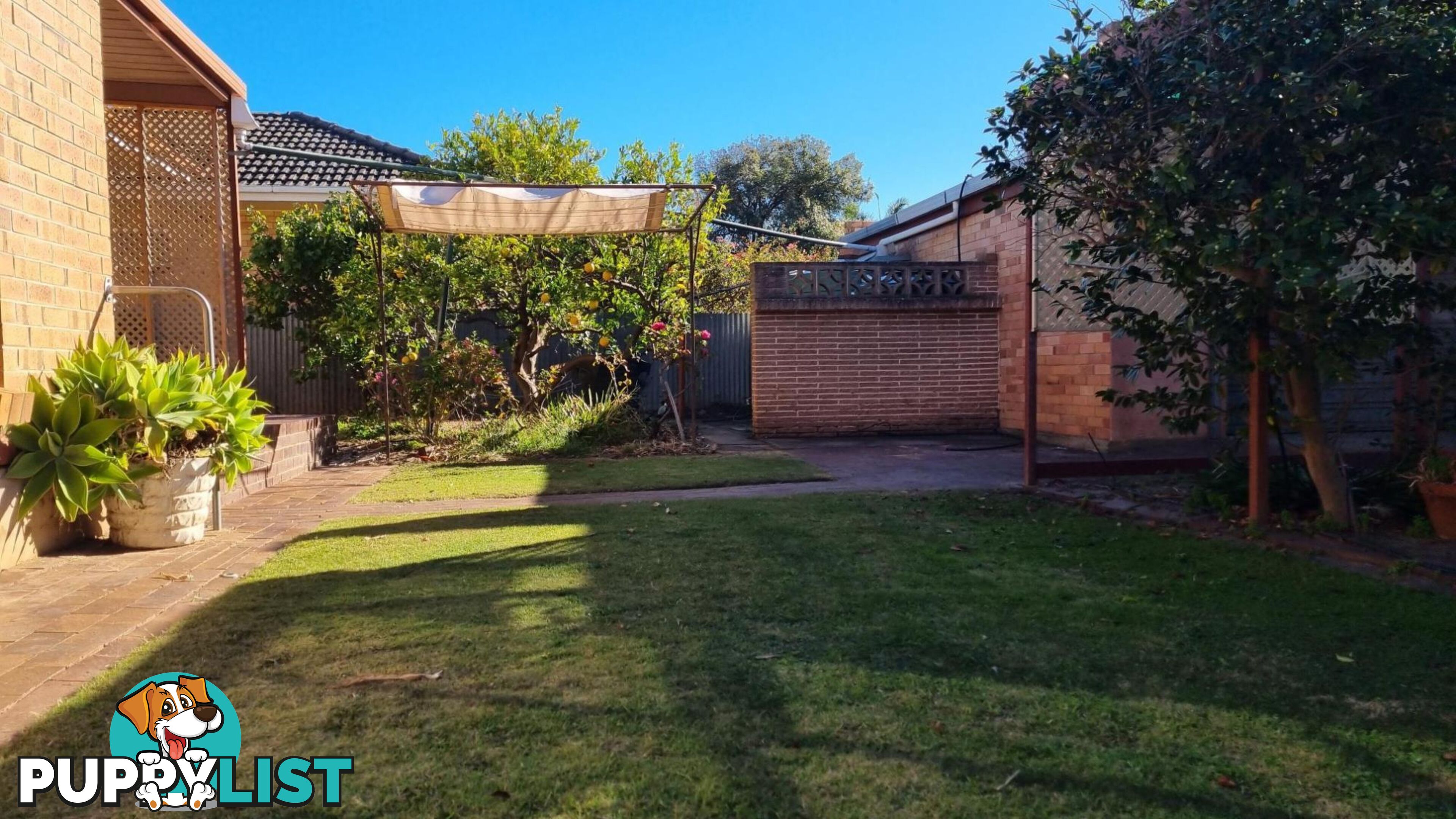 11 Pine Ave WARRADALE SA 5046