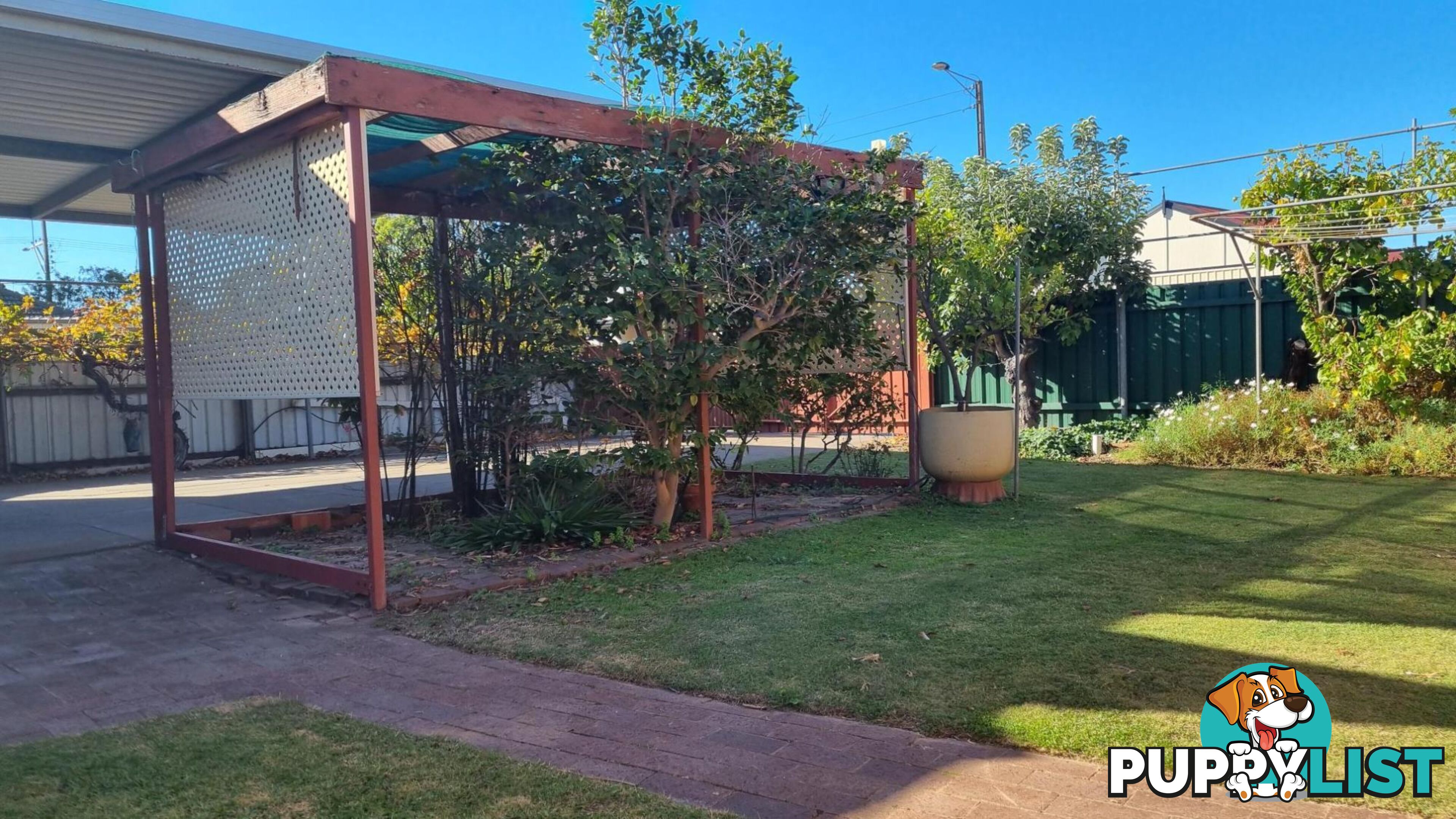 11 Pine Ave WARRADALE SA 5046