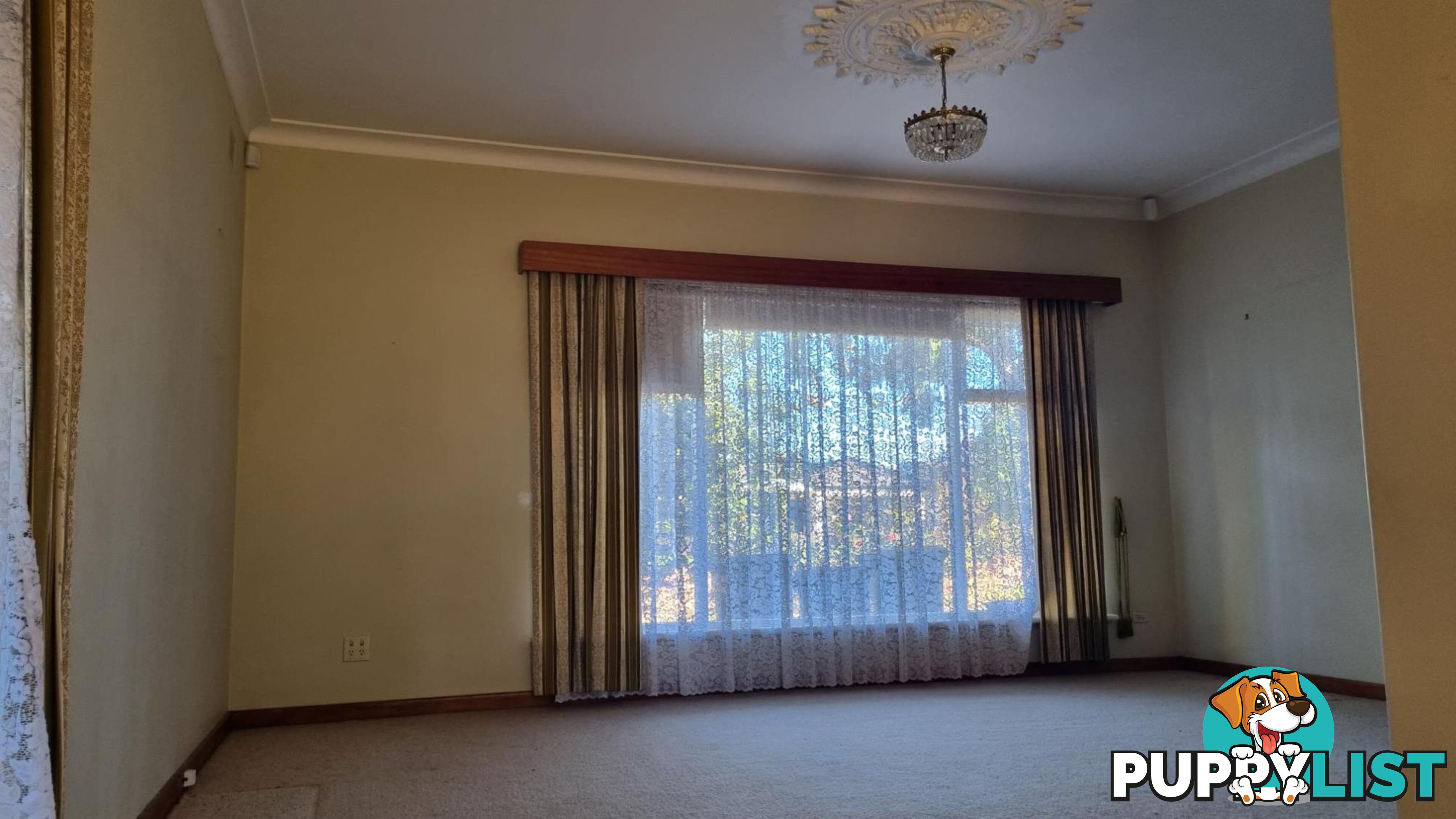 11 Pine Ave WARRADALE SA 5046