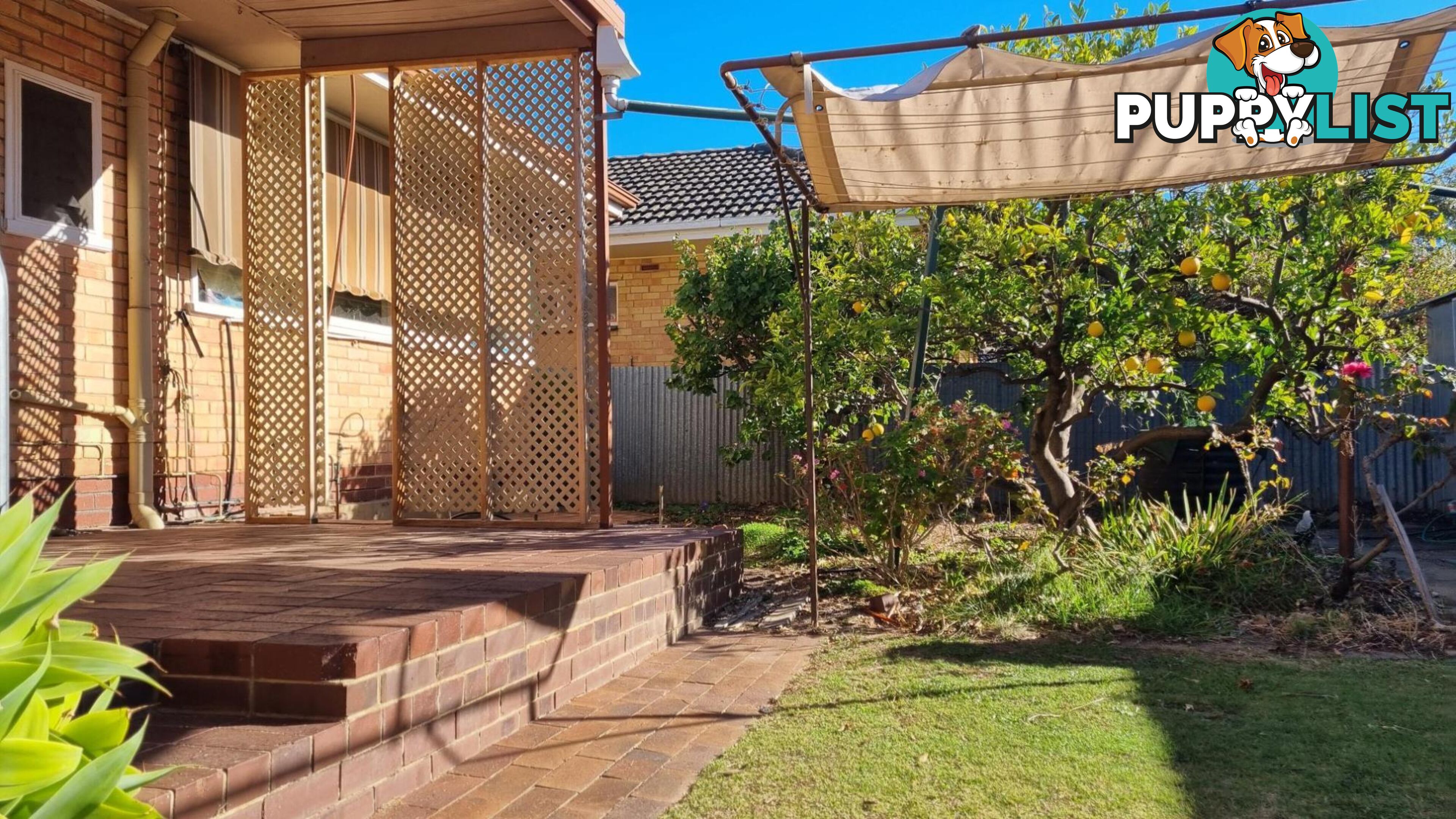 11 Pine Ave WARRADALE SA 5046