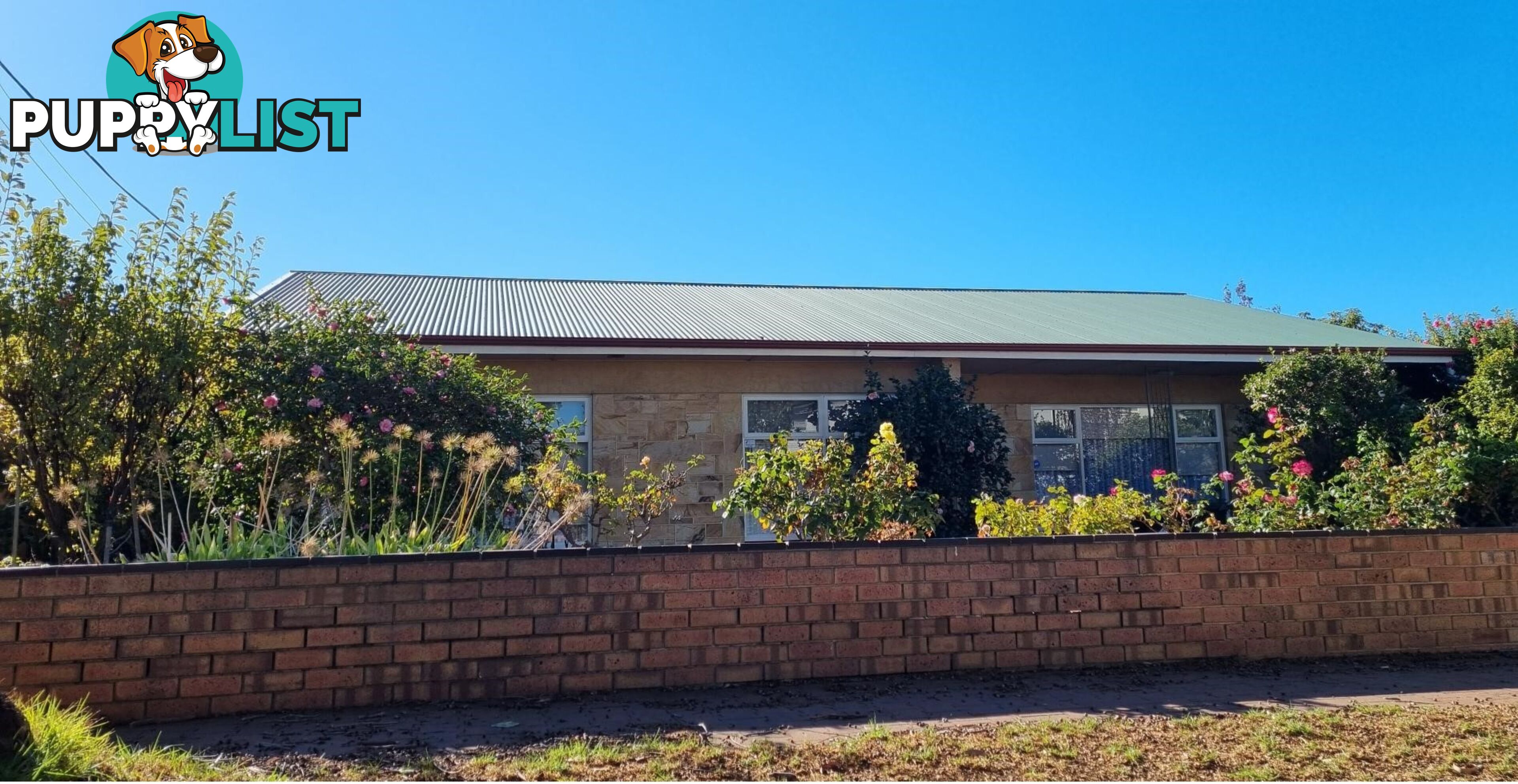 11 Pine Ave WARRADALE SA 5046