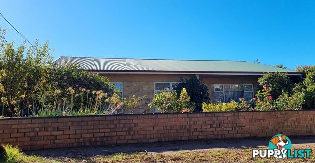 11 Pine Ave WARRADALE SA 5046