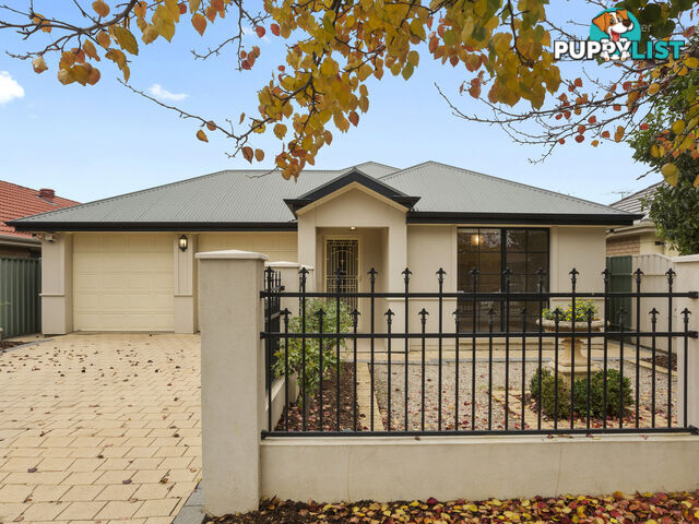 8 Doreen Street OAKLANDS PARK SA 5046