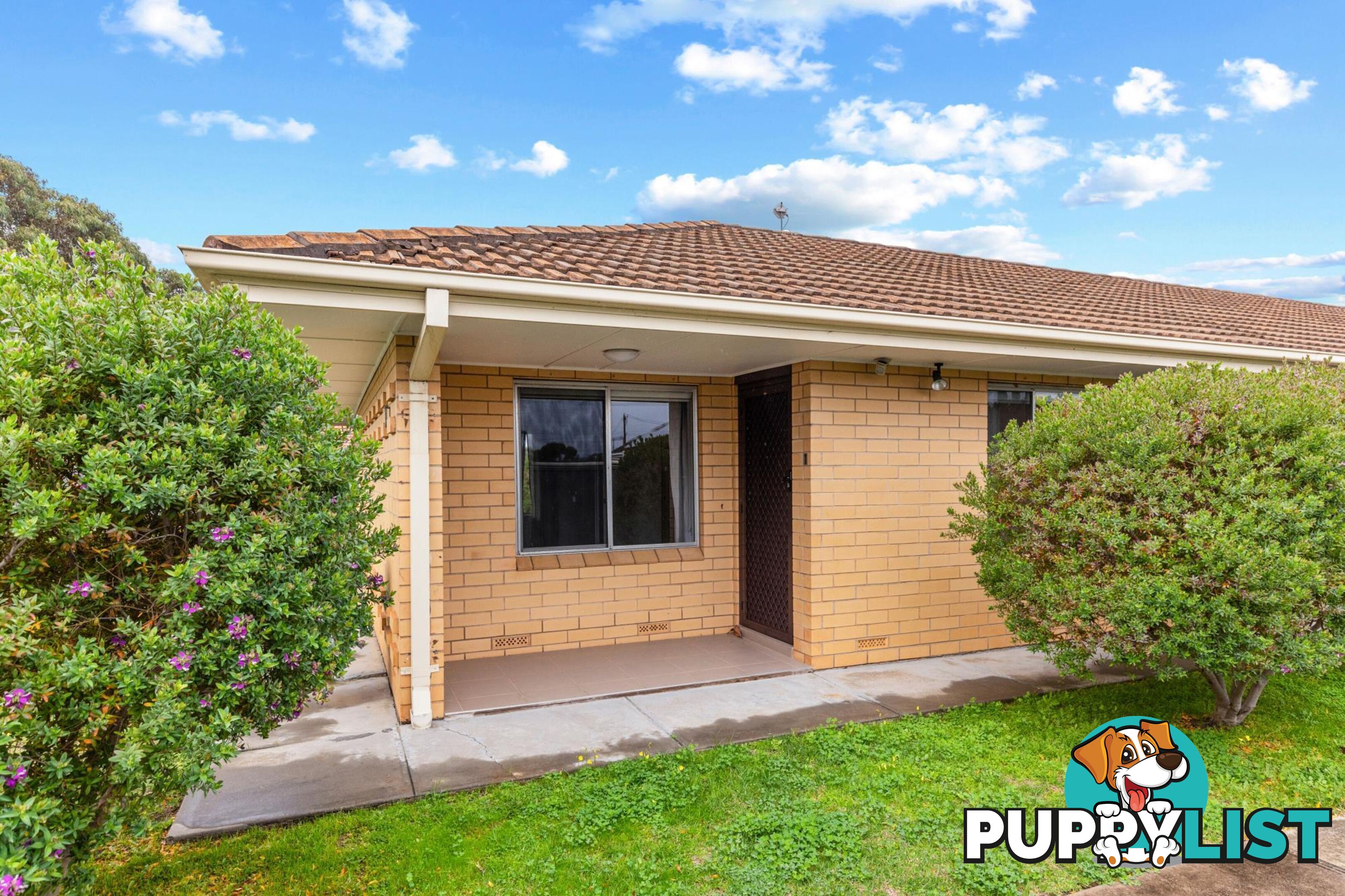 1/2 Albert Street ASCOT PARK SA 5043