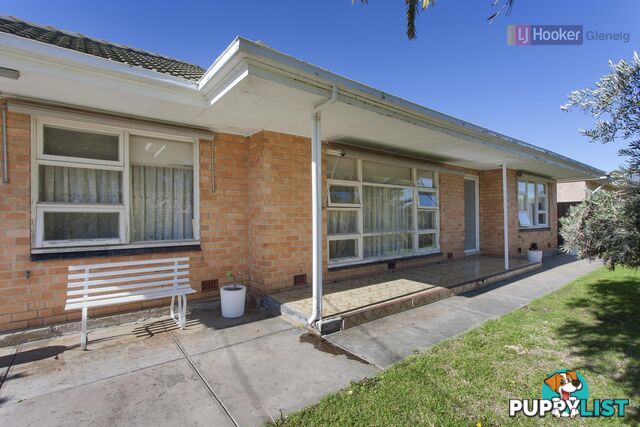 6 Pape Crescent NETLEY SA 5037