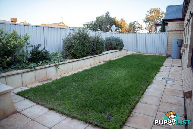 1 Cacatua Close ROXBY DOWNS SA 5725