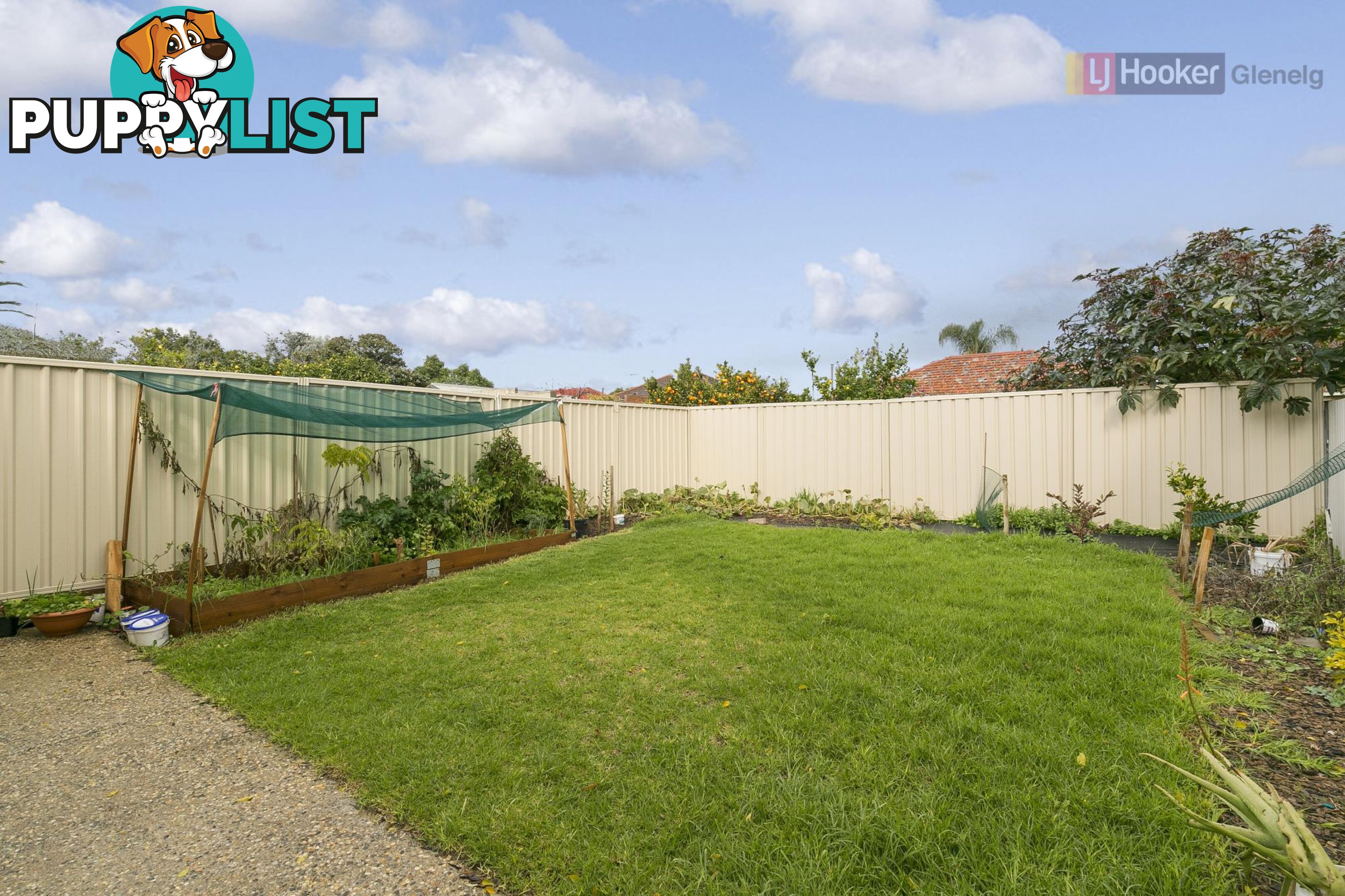 9A Australian Avenue CLOVELLY PARK SA 5042