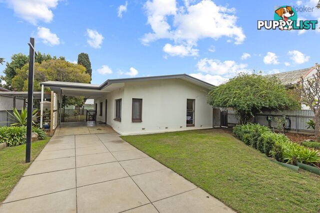 16 Oaklands Road SOMERTON PARK SA 5044
