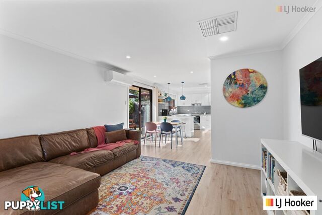 1/4 Johnstone Street GLENGOWRIE SA 5044