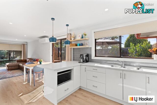 1/4 Johnstone Street GLENGOWRIE SA 5044