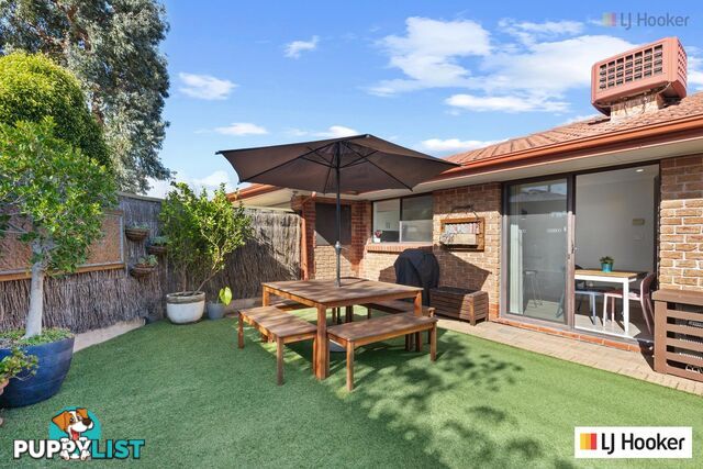 1/4 Johnstone Street GLENGOWRIE SA 5044