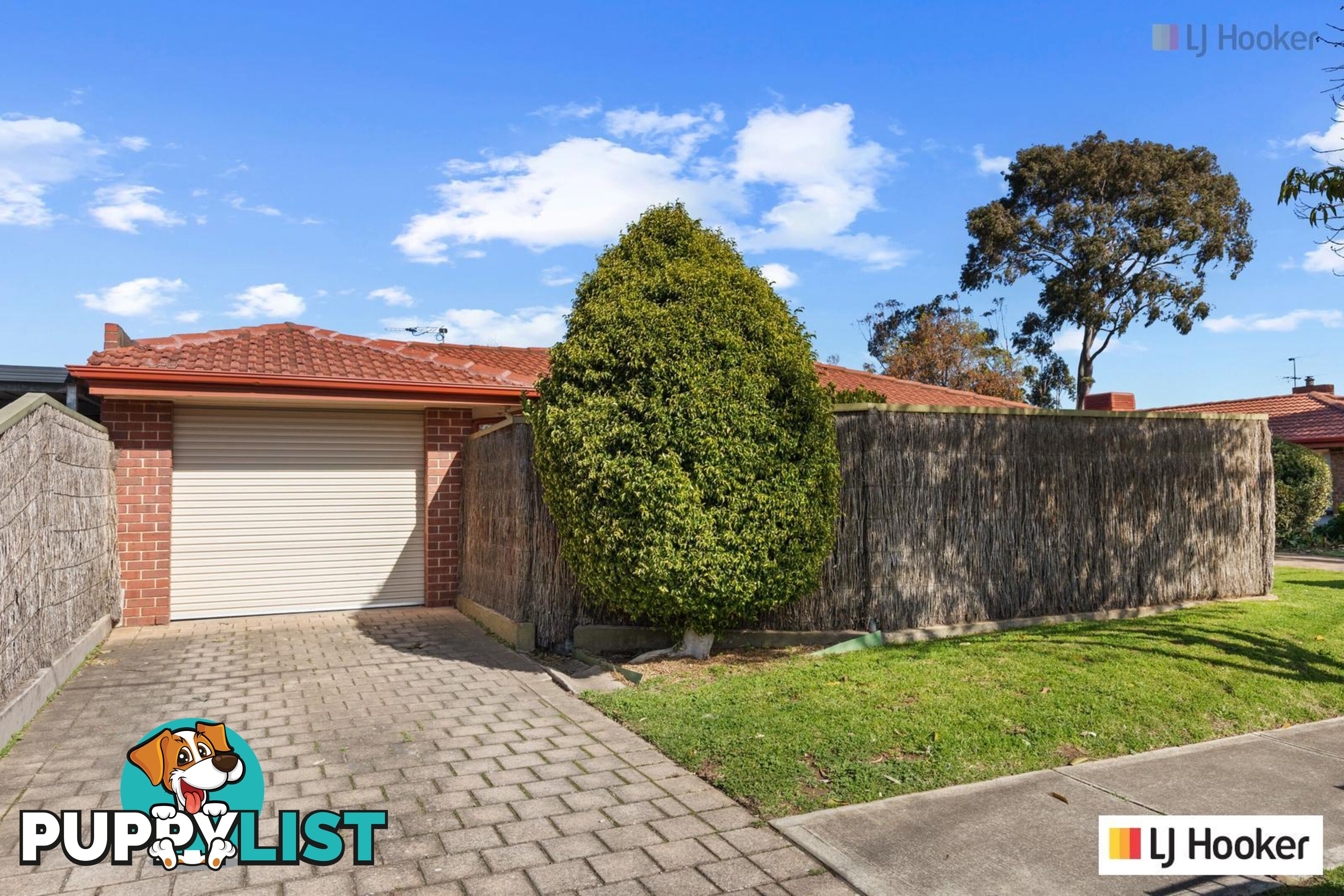 1/4 Johnstone Street GLENGOWRIE SA 5044
