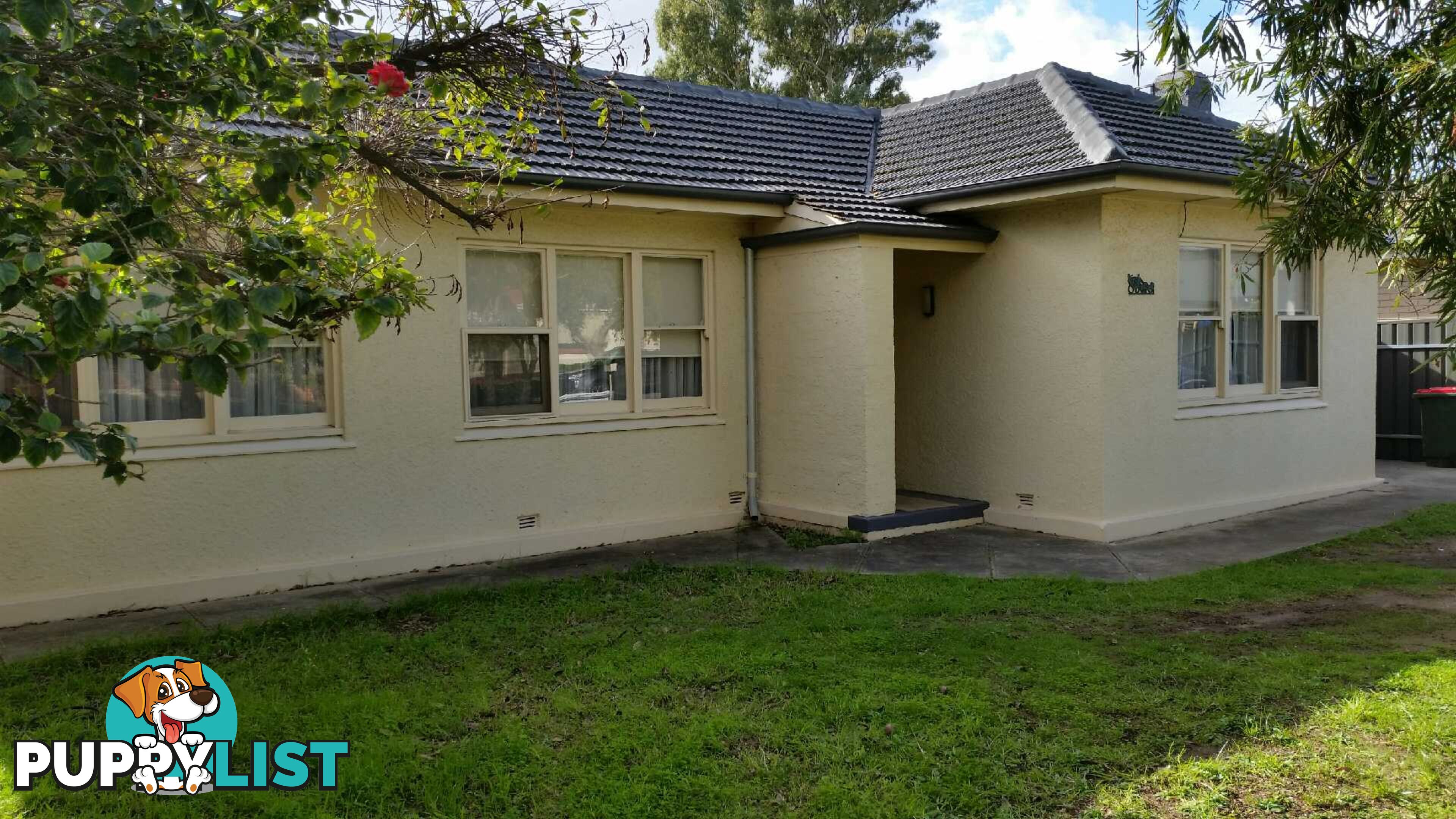 29 English Avenue CLOVELLY PARK SA 5042