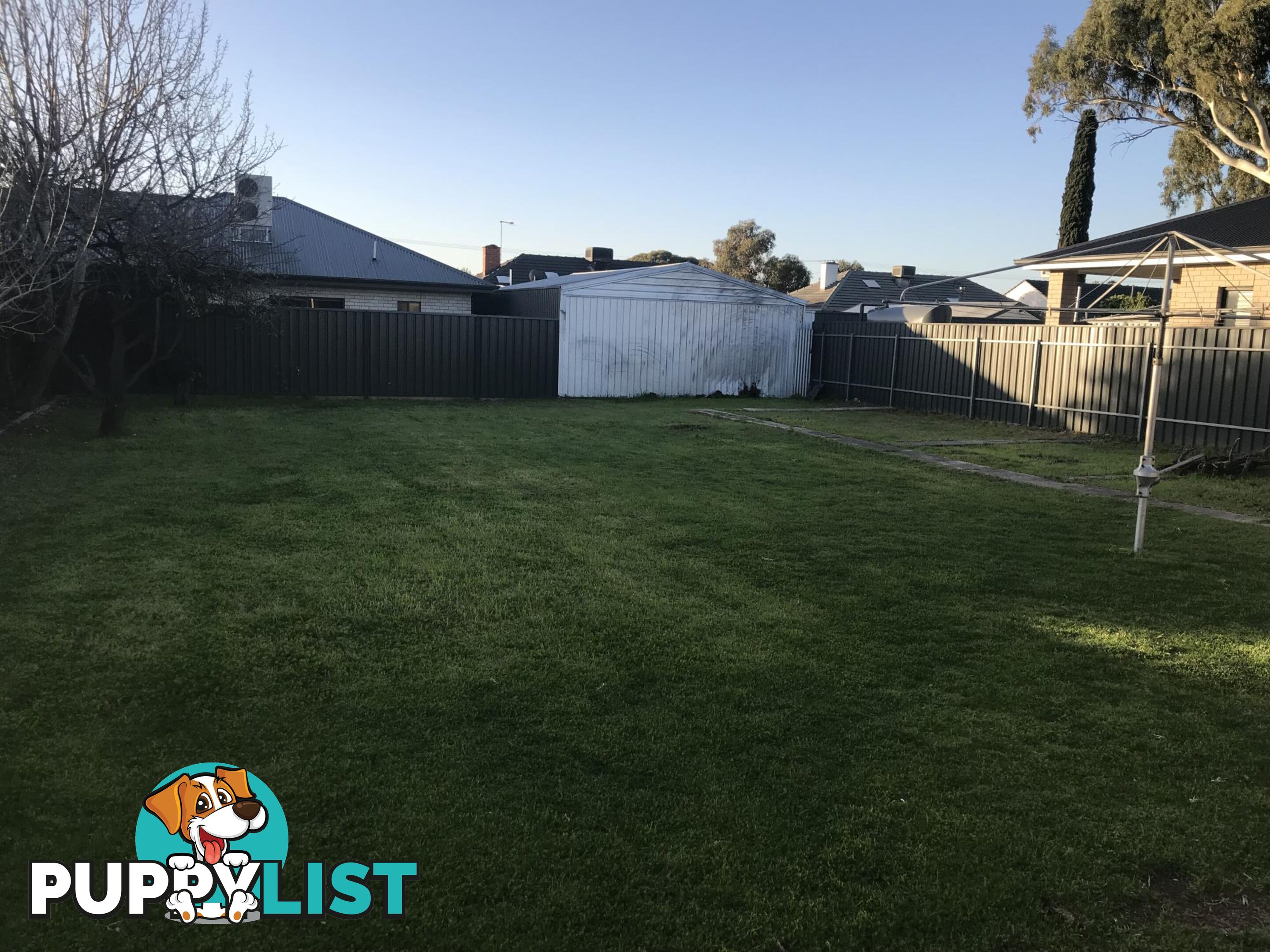 29 English Avenue CLOVELLY PARK SA 5042