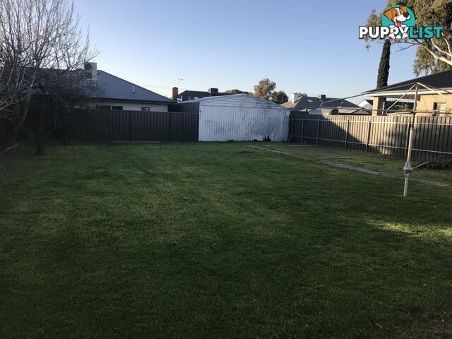 29 English Avenue CLOVELLY PARK SA 5042