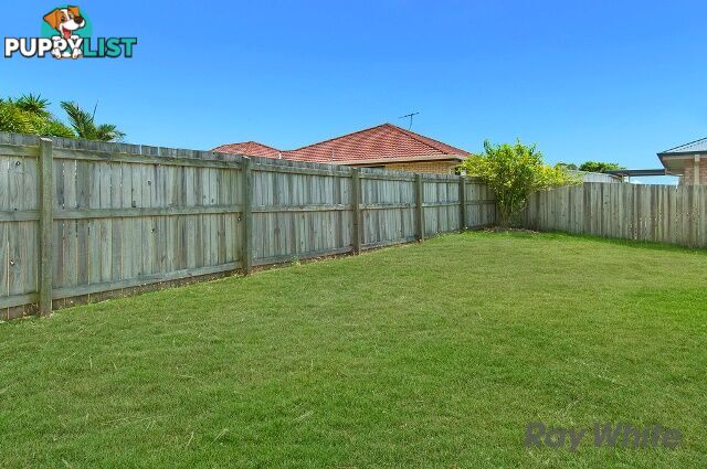 79 Lake Manchester St LOGAN RESERVE QLD 4133