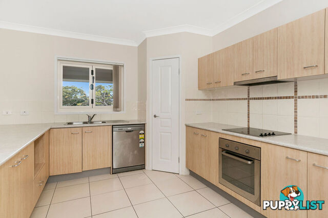 20 Conway Street WATERFORD QLD 4133