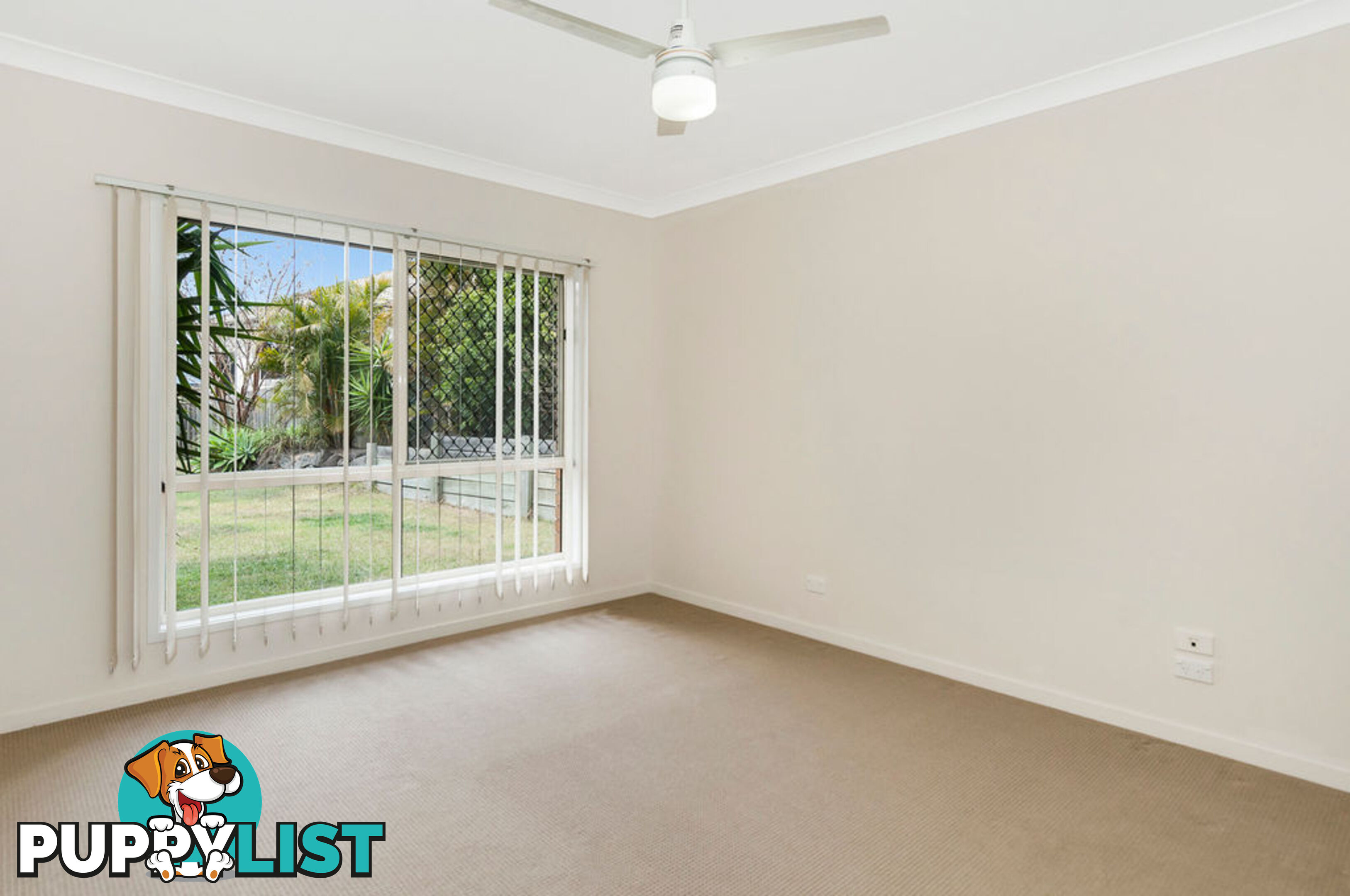 20 Conway Street WATERFORD QLD 4133