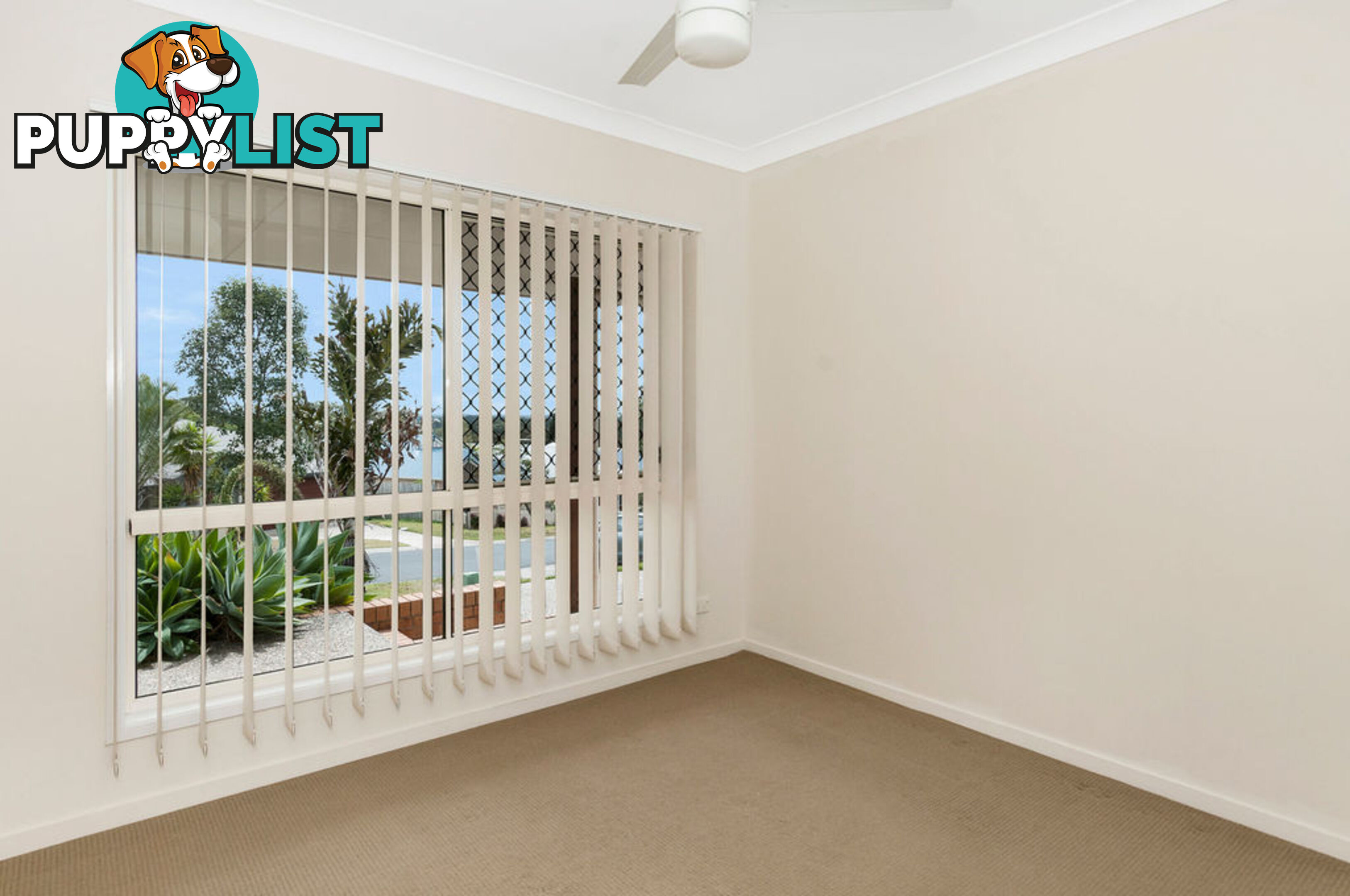 20 Conway Street WATERFORD QLD 4133