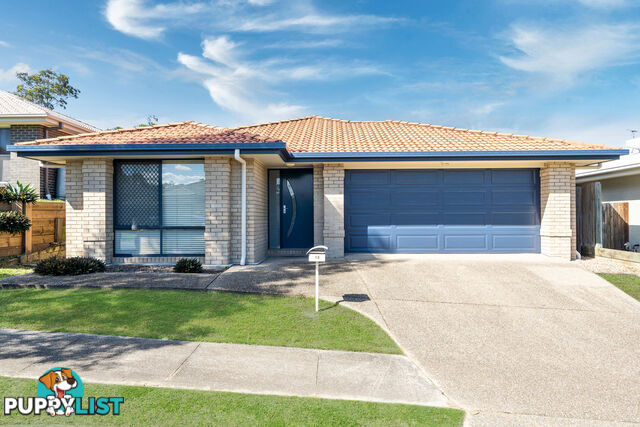 13 Carrawinya Street WATERFORD QLD 4133