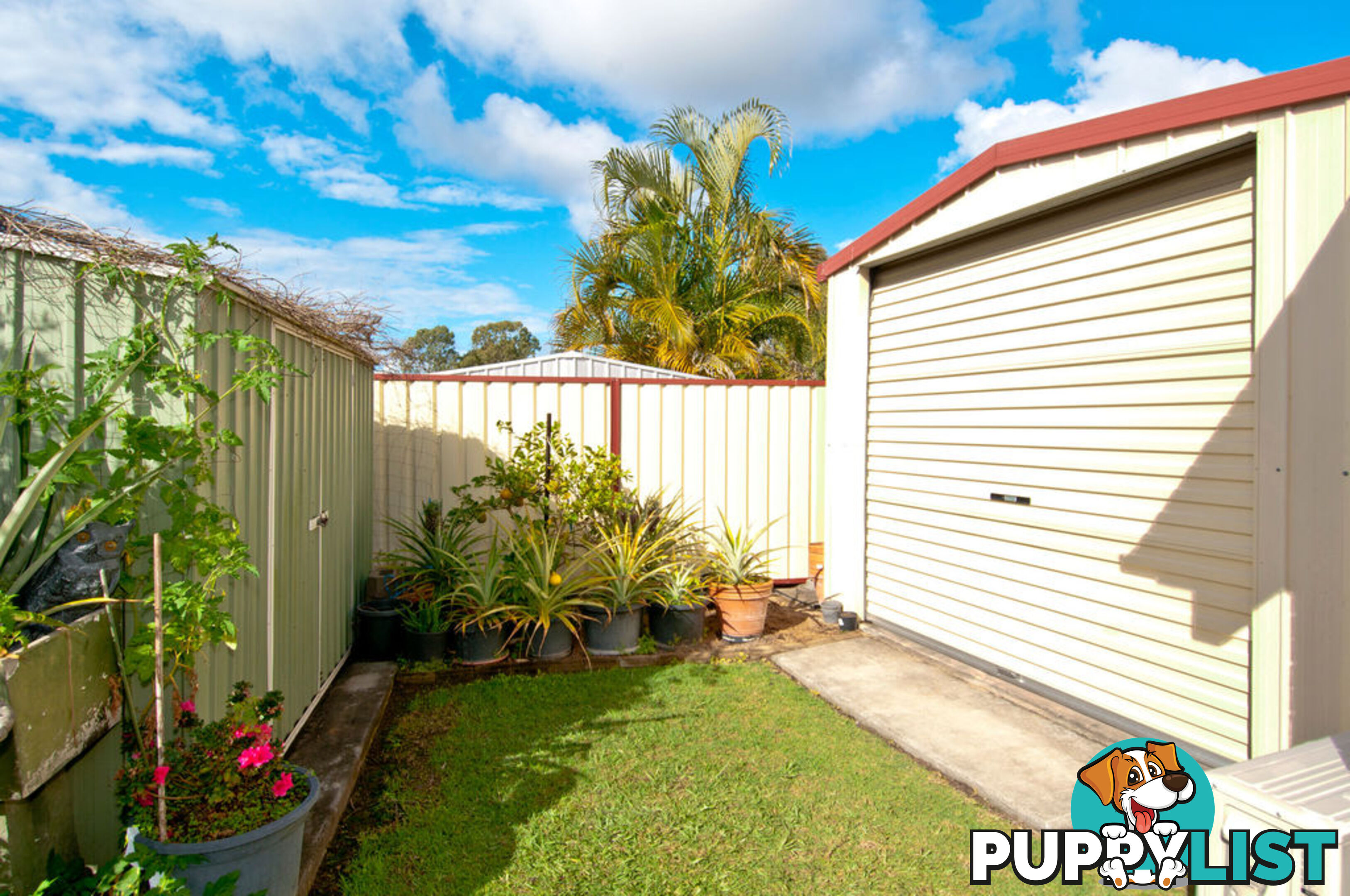 19 Edinburgh Drive BETHANIA QLD 4205