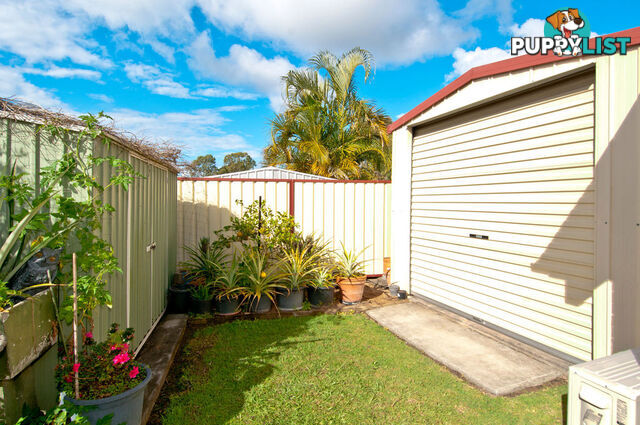 19 Edinburgh Drive BETHANIA QLD 4205