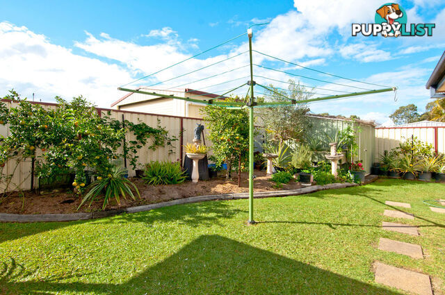 19 Edinburgh Drive BETHANIA QLD 4205