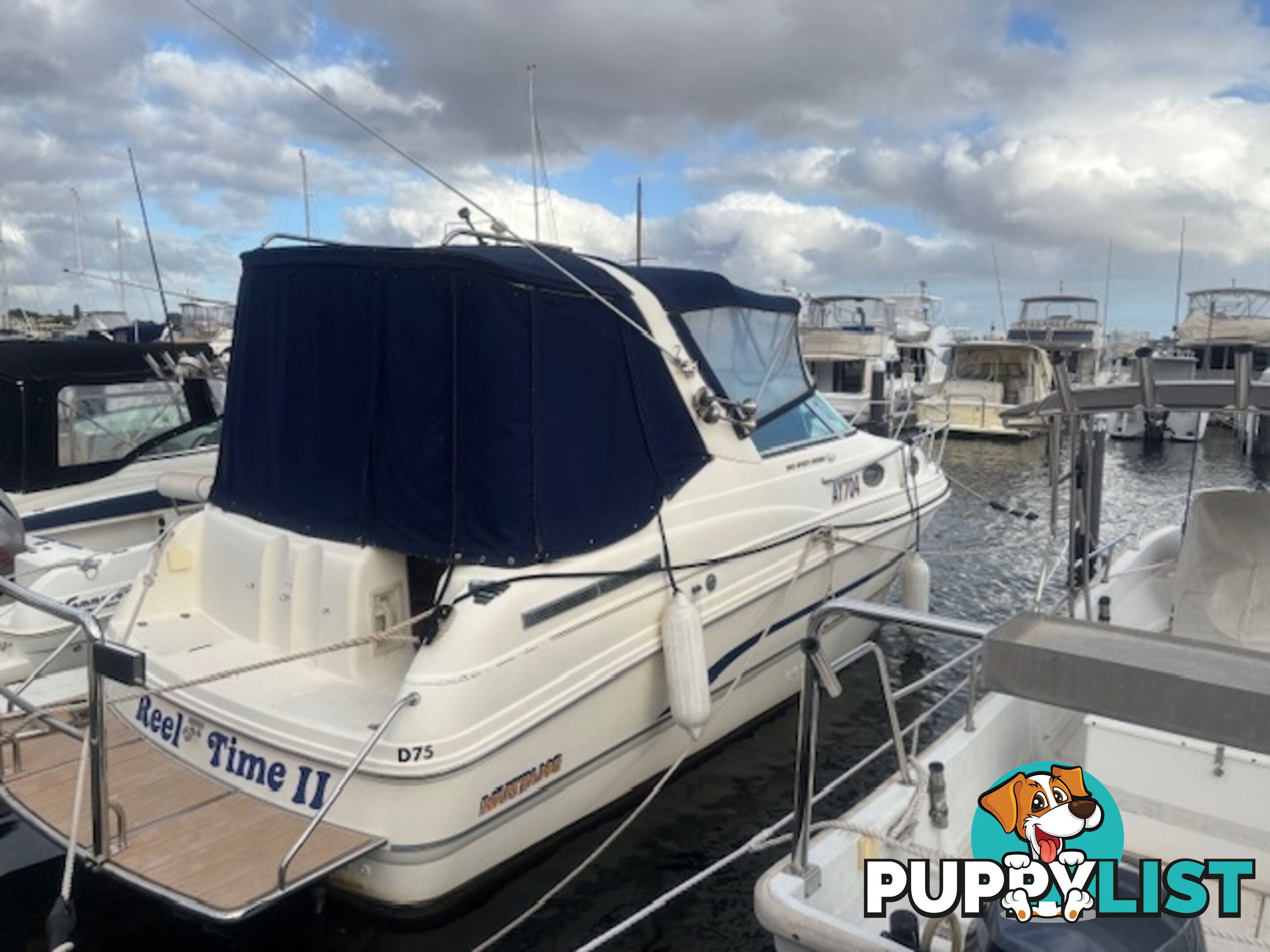1998 Mustang 2600 Sports Cruiser