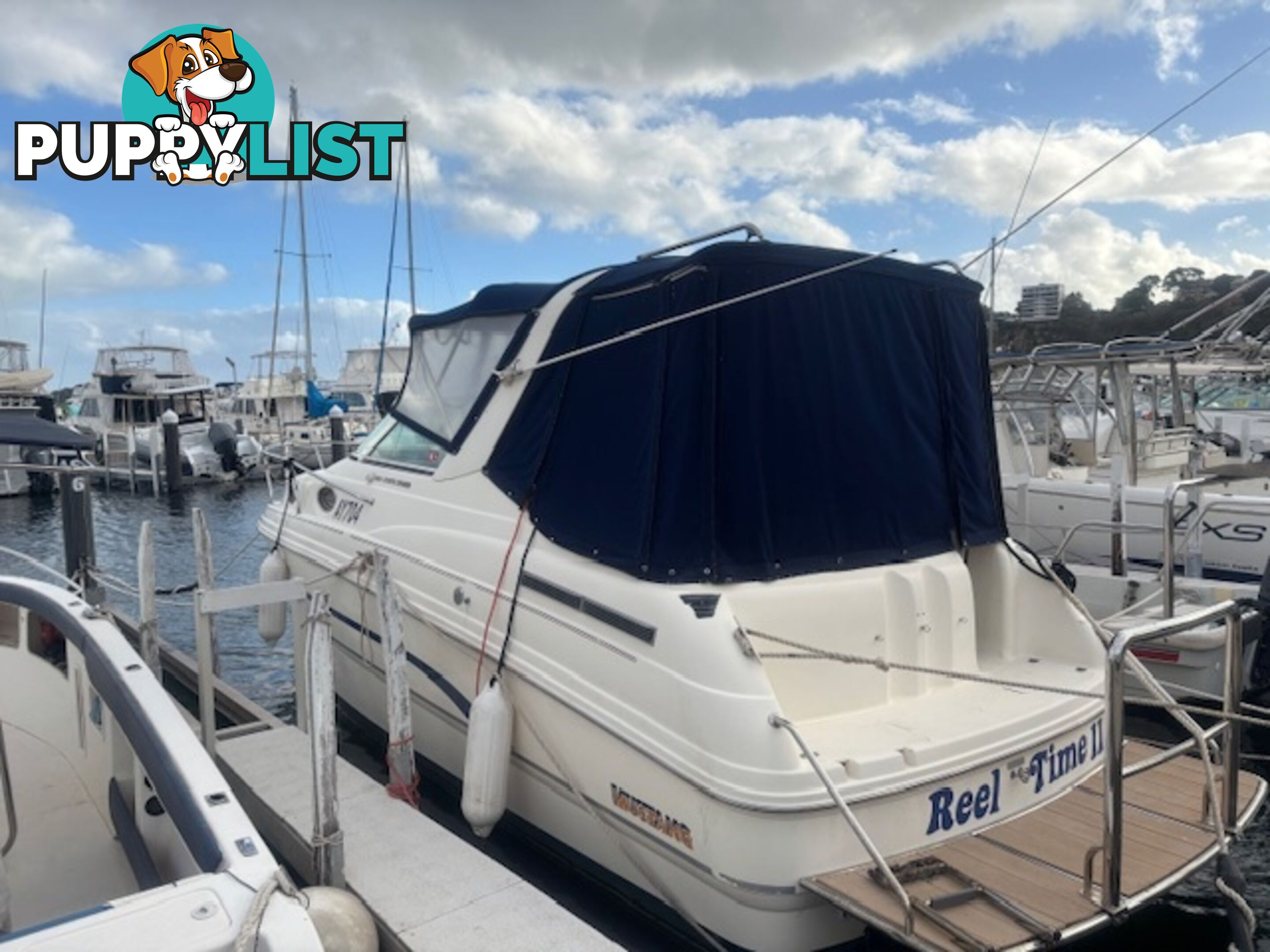 1998 Mustang 2600 Sports Cruiser