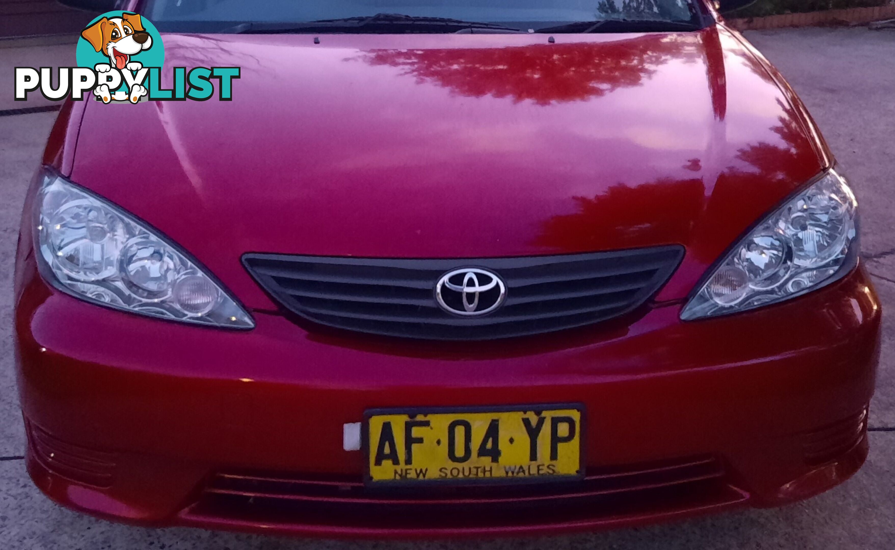 2005 Toyota Camry ALTISE 2.4L Sedan Automatic