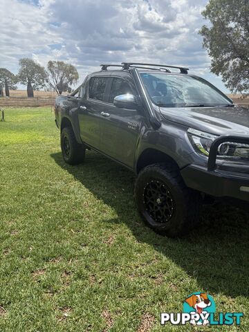 2020 Toyota Hilux Ute Manual