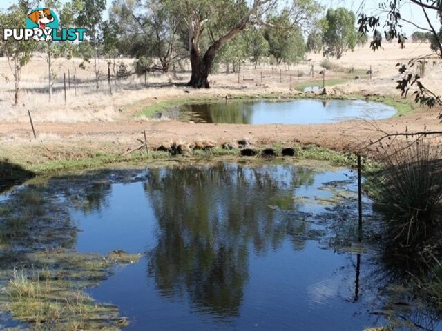 TOODYAY WA 6566